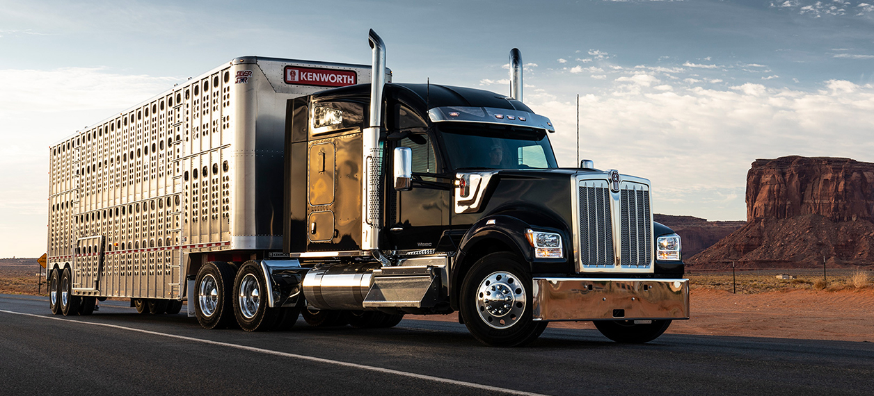 Kenworth W990 parked with desert background